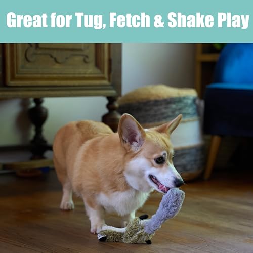 SPOT Skinneeez Raccoon 14 Inch Stuffing-Free Plush Dog Toy – Soft, Mess-Free Toy with One Squeaker for Small & Medium Dogs, Best for Light to Moderate Chewers - style: Mini Raccoon