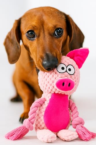 Plush Pig Dog Toy, Squeaky Interactive Tug Toy for Small Medium Dogs | Cute plush toy with sound features, designed for small and medium dogs, indoor play and daily entertainment - color: Pink