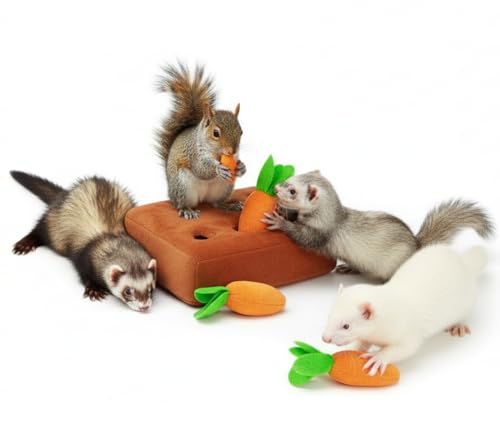 Ferret Foraging Toys Novelty Carrot Snuffle Mat Interactive Pet Treat Enrichment Toys for Small Animals Bunny Rabbit Chinchilla Guinea Pig Hamster (6Carrot) - color: 6Carrot