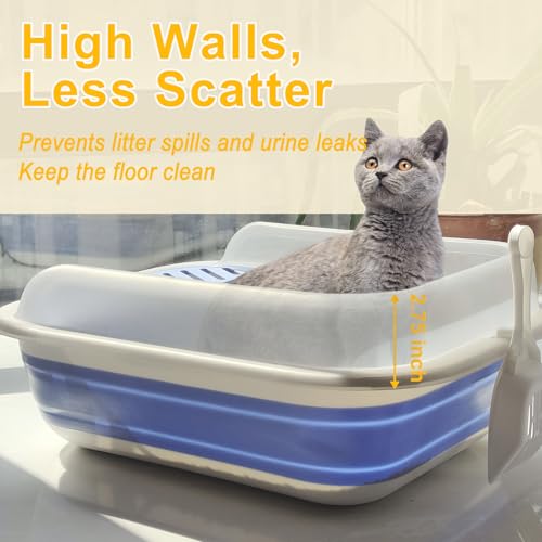Low Entry Kitten Litter Box Collapsible Shallow Litter Box | Senior Cats Anti-Splashing Kitty Training Open Potty Pan Scoop Leak-proof pedal Cat Toilet No Smell Easy Clean - color: Grey, size: Large
