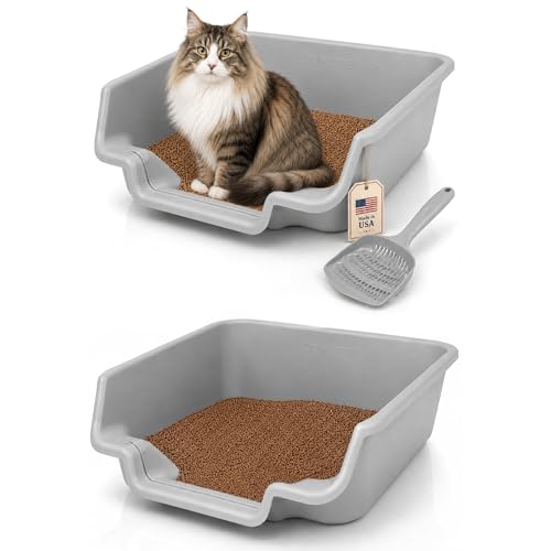 KittyGoHere Senior Cat Litter Box, Jumbo Litter pan with Long-Handle Jumbo Scoop, Open Top Low Entrance Kitty Litter Box, Lightweight Low Entry Litters Box, Durable, Made in USA (2 Pack - Misty Gray) - color: Misty Gray, size: Jumbo(2 Pack) with Scoop
