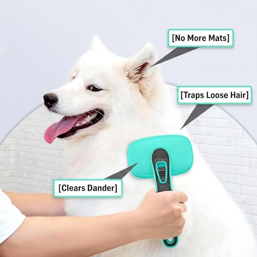 Self Cleaning Slicker Brush & Nail Clippers for Dog and Cats | 2 Pcs, Shedding Long and Short Haired Pets, Skin Friendly, Deshedding Grooming Tool - color: Green 2 PCS