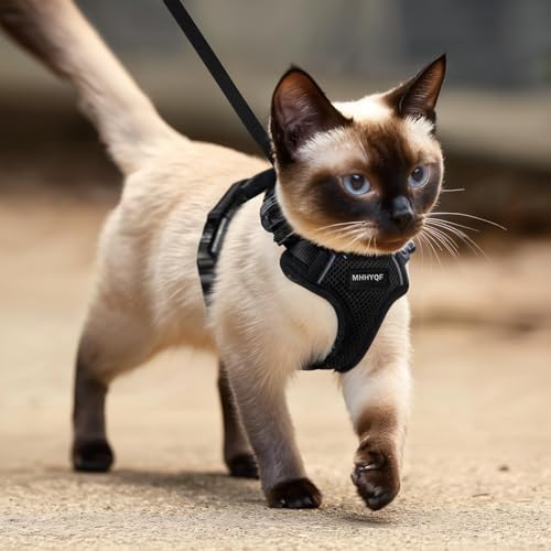 Cat Harness and Leash for Walking, Cat Car Harness, Soft Adjustable Vest Harnesses for Cats, Easy Control Breathable Reflective Strips Harness, Kitten Harness and Leash Set, Black, S - size: Small