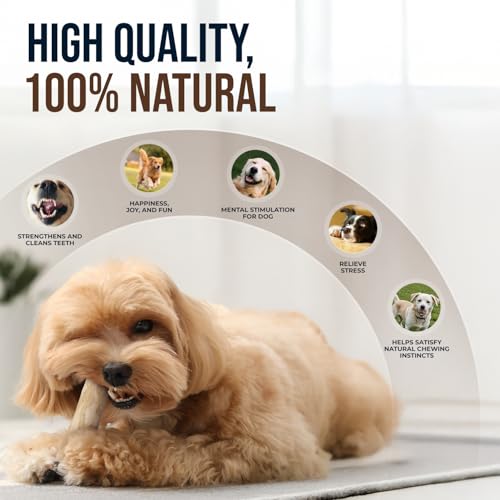 4Pcs Coffee Wood Chew Stick & Hemp Dog Ball Toy for Small & Medium Dog 25-50lbs, 100% Natural, Teething Chewing Interactive to Keep Them Busy, Wood Chew Toy for Birthday