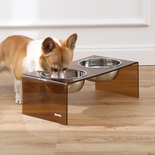 DBL2001D Keaton 7.5" Medium/Large Modern Acrylic Rectangular Elevated Pet Feeder with 54oz 2-Stainless Steel Bowls, Amber/Chrome - color: Amber/Chrome, size: 54 Ounces (7.5" Cups 2-Pack)