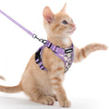 rabbitgoo Cat Harness and Leash Set, Escape Proof Vest, Purr-ple Daisy | Soft Breathable Mesh, Easy Adjustable Fit, Snap Buckles, Sturdy Clip, Reflective Strips, for Kittens & Small Cats Walks, Xxs - color: Purr-ple Daisy, size: Xxs
