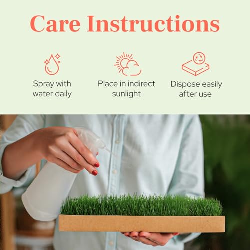 Guinea Pig Pee Pads, Fresh Grass Mat, Hamster Small Pet Bed 12x9 | Hydroponically grown grass with 2x the grazing area - great for guinea pigs, hamsters, hedgehogs, and multi-pet households - size: 12x9 Inch (Pack of 1)