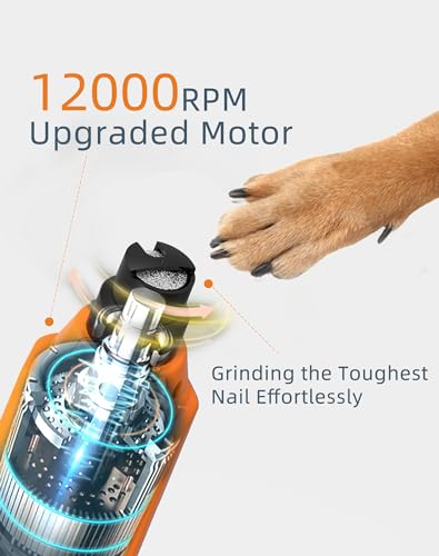 6-Speed Dog Nail Grinder& 3 Grinding Heads with 2 LED Lights | Super Quiet (45 db) Pet Nail grinder 12000RPM & 3 Grinding Ports with Dust Cap Dog Nail Trimmer for Large Medium Small Dogs - size: Orange+3 Heads
