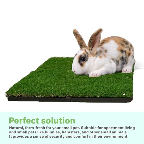 Gotta Go Grass for Small Animals – Natural Real Grass Bedding & Pet Resting Pad, Grass Potty Pad for Rabbits, Guinea Pigs, Hamsters, and Small Pets, Odor Absorbent Grass Mat (Refill Pack 16" x 24") - size: Refill 1- Pack
