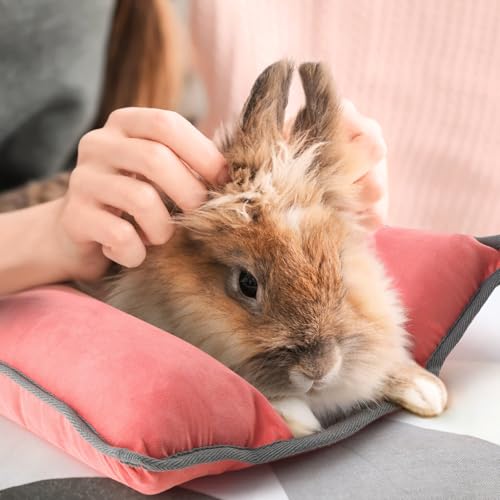 Rabbit Bed, Washable Bunny Pillow, Reversible Lounger Pad, Soft Small Animal Bedding, Stress Relief Pet Mat for Kittens, Guinea Pigs, Puppies - color: Light Red