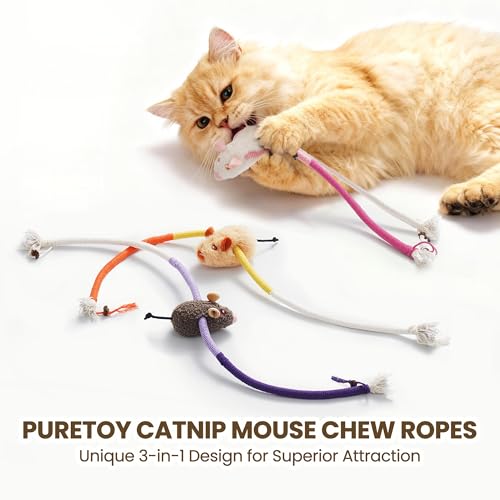 Cat Chew Ropes with Catnip Mouse, 3Pcs Cat Chew Toys for Large Cats Enrichment, 3-in-1 Catnip Toys Mouse & Strong Braided Ropes & Gall Fruits, Cats Teething Toys - color: Ropes