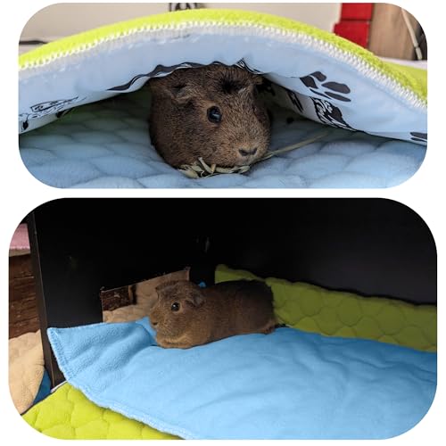 Fleece Playground for Guinea Pig and Rabbit - All in One, It's a Blanket, a Giant Tunnel, a House, a Cushion and a Bed - 55.1 x 27.6 in - Pink | 27.6 x 55.1 in (W x L) - C&C 2x4 - Pink - Washable - For Sleeping On Top and Hiding Underneath - color: Pink,