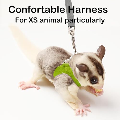 3 Pack Sugar Glider Harness and Leash Set Small Animal Training Walking Vest for Squirrel Hamster Rat-Green - color: Green