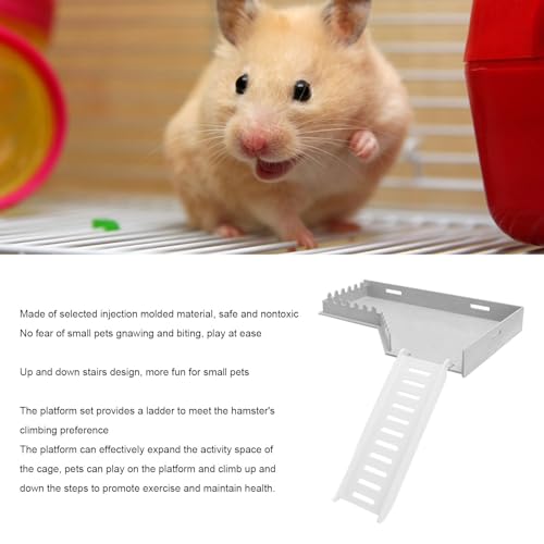 Asixxsix Hamster, Injection Plastic Climbing Ladder Toy for Squirrel Guinea Pig Gerbil, Multipurpose Hamster Ladder for Small Animals, Increase Activity Space (L Shape)