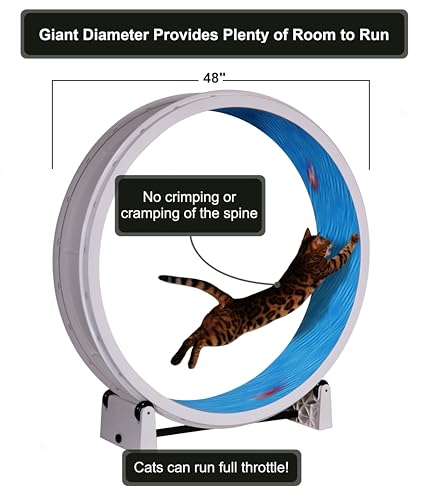 One Fast Cat - Cat Exercise Wheel - Made in the USA - 48" Diameter - Gen. 7 | White with Koi Pond Foam Traction Pads and Solid Black Inline Wheels - color: White Wheel / Koi Pond Foam / Black Inline