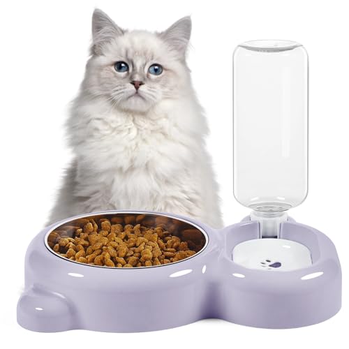 Dog Bowls, Cat Food and Water Bowl Set with Water Dispenser and Stainless Steel Bowl for Cats and Small Dogs - Purple - color: Purple