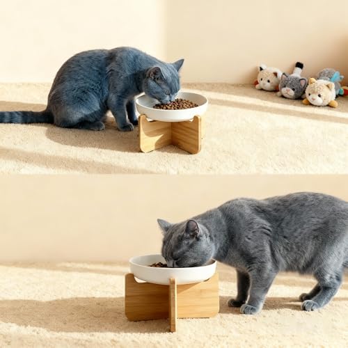 Shallow Elevated Cat Bowls with Bamboo Stand, 6.1 Inch Wide Ceramic Cat Dish Whisker Friendly, 2 Pack Pet Food and Water Plates - color: White 2 pack