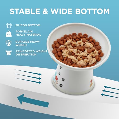 Necoichi Ceramic Raised Cat Food Bowl, 15° Tilted (Fuji, Extra Wide Tilted) - color: Fuji, size: Large Extra Wide Tilted