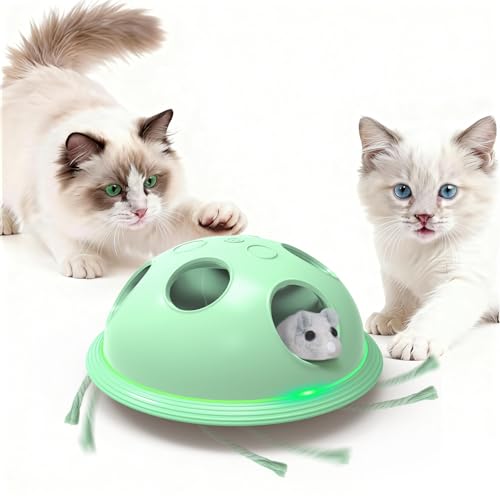 Pawingcat Cat Toys for Bored Indoor Cats Interactive String and Mouse | Hide and Seek,Cat Puzzle Toy,Automatic String,Running Plush Mouse,Cat Gifts