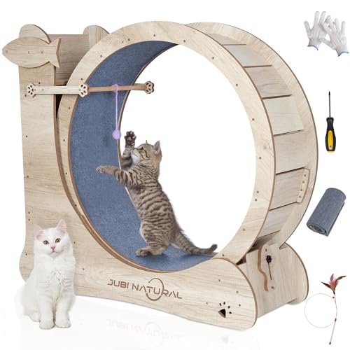 40" Cat Exercise Wheel for Indoor Cats, Low-Noise Treadmill | 4-in-1 activity center with removable carpet, safety lock, under 6 mm gap, sisal scratcher, teaser toys and storage shelf