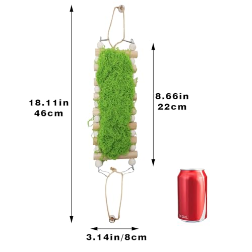 Jumping Spider Enclosure Accessories, Wooden Bridge with 7 Steps and Green Clusters Simulate Moss, Magnetic Jumping Spider Habitat Enclosure Decor