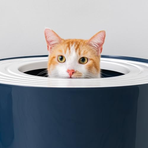IRIS USA Large Top Entry Cat Litter Box, Hooded Privacy, Navy/White | Dog-Free Zone, Mess Containment System, Protected Interior, Dog Proof Pan, Odor Trapping, Easy Scoop Access - color: Navy, style: Top Entry