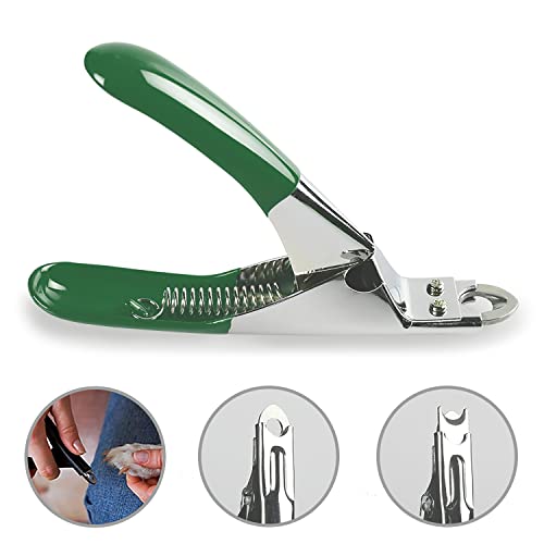Dog Cat Pets Nail Clippers, Professional Pets Claw Trimmer with Free Nail File, Sharp Stainless Steel Blade, Sturdy Non Slip Handles - for Safe, Professional at Home Grooming - color: Green