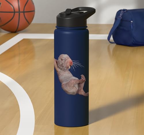 I Just Really Like Naked Moles Ok? Funny Naked Mole Rat Stainless Steel Insulated Water Bottle - color: Navy Blue