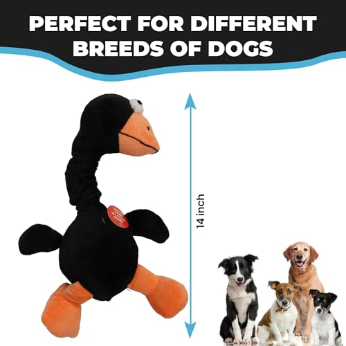 SPOT Chirpies Plush Dog Toy – Bird Sound Squeaky Toy for Small and Medium Dogs, Light to Moderate Chewers, Stretchy Bungee Neck, Recycled Stuffing – 14 in, Assorted Styles