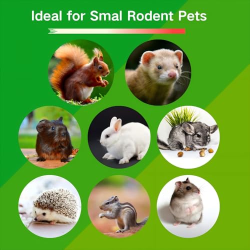 4pcs Bunny Chew Toys,Natural Chinchilla Chew Toys and Treats | Natural Chew Toys and Treats For Guinea Pigs Hamster Gerbils Chinchilla, Small Pets Rabbit Toys