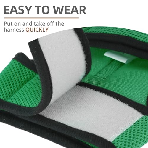 PUPTECK Soft Mesh Cat Vest Harness and Leash Set Puppy Padded Pet Harnesses Escape Proof for Cats Small Dogs Rabbits Bunny - color: Deep Green, size: S(NECK 6", CHEST 8.5", 2-4 lbs)