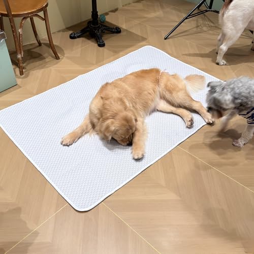 Dog Cooling Mat 60"x40" Super Large for Giant Dogs, XL | Chew-Resistant, Non-Slip & Machine Washable, Ice-Silk Self-Cooling Pad(Q-Max>0.4), Leak-Proof TPU, Crate Indoor Outdoor - size: Extra Large 60"x40"