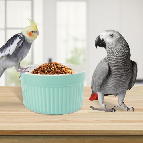 Bird Feeding Cups Parrot Food Cage Bowl Clamp Holder Coop Cup, Ceramic Bird Cage Water Bowl, Pet Feeder Cage for Parakeet African Greys Conure Cockatiels Lovebird Budgie-Blue - color: blue