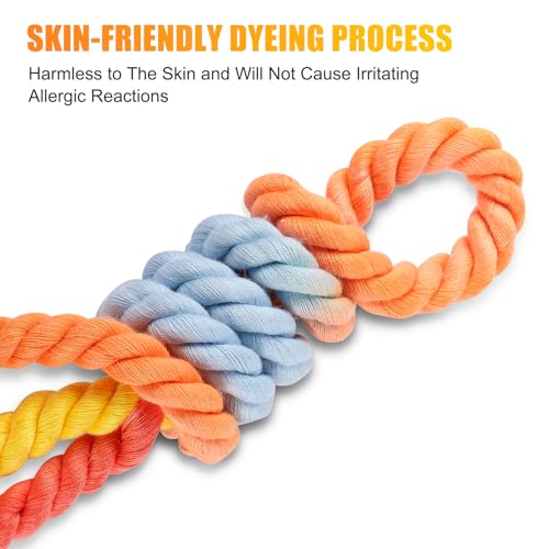 5 FT Handmade Rope Dog Leash for Small Medium and Large Dogs | Soft and Comfortable Grip, New Golden Heavy Duty Metal Clasp, Colorful Rainbow - color: Colorful Rainbow, size: 5FT x 1/2in (Pack of 1)