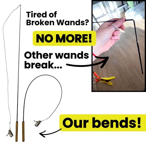 Forever Stick 2-Pack - The Unbreakable Cat Wand Toy, Durable Cat Toy Wand, Extra Long Cat String Toy, Cat Fishing Pole Toy for Bored Indoor Adult Cats, Cat Stick Toy, Cat Feather Wand, Cat Teaser Wand - size: Forever Stick 2-Pack