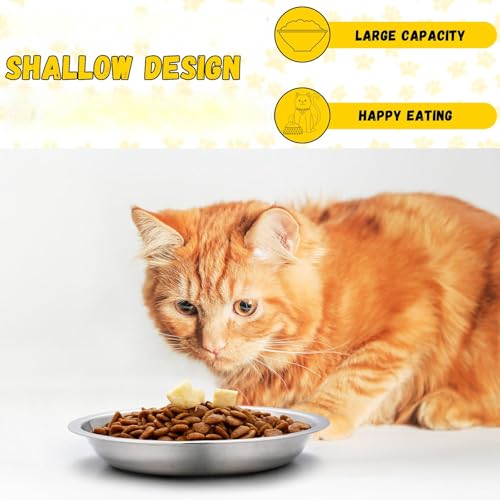 8 Pieces Stainless Steel Cat Bowls 5.5 Inch Wide Flat Cat Dish Small Plate for Kittens Ferrets Wet and Dry Food