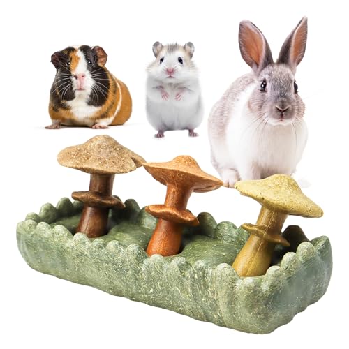 TEEWY Guinea Pig Chew Toys, Prevent Teeth Overgrowth, Natural Timothy Grass & Vegetables, Hamster Chew Toys, Guinea Pig Toys, Chinchilla Toys, 4PCS, Grass Patch & Mushrooms - style: 4PCS-Grass Patch & Mushrooms