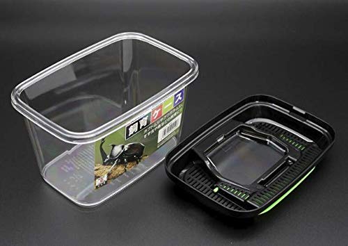 Critter Keeper with Handle, Easy to Observe, Terrarium for Bugs, Fish, Lizards, Crawfish, Frogs, or Snakes, Insect cage, Made in Japan (1pc) - style: 1pc
