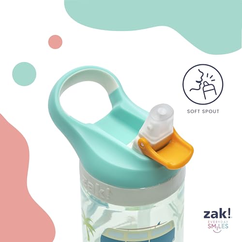 Zak Designs Minecraft Kids Water Bottle with Straw and Built in Carrying Loop Set, Made of Plastic, Leak-Proof Water Bottle Designs (Creeper/Pig, 16 oz, 2pc Set) - color: Creeper & Pig