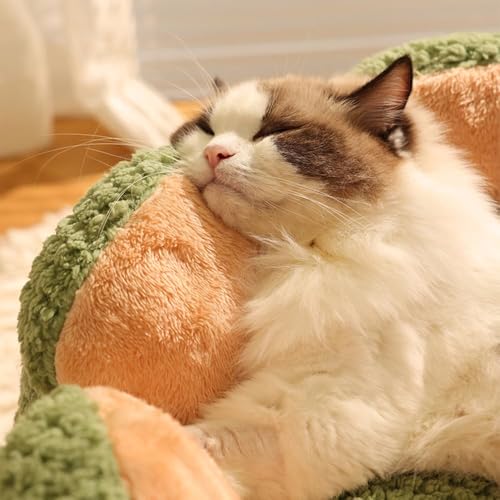 CWV Cute Cat Beds Kitten Beds, Soft Small Dog Beds, Washable Pet Beds for Puppy and Kitty, Cactus Shape, 23 Inch - color: Green