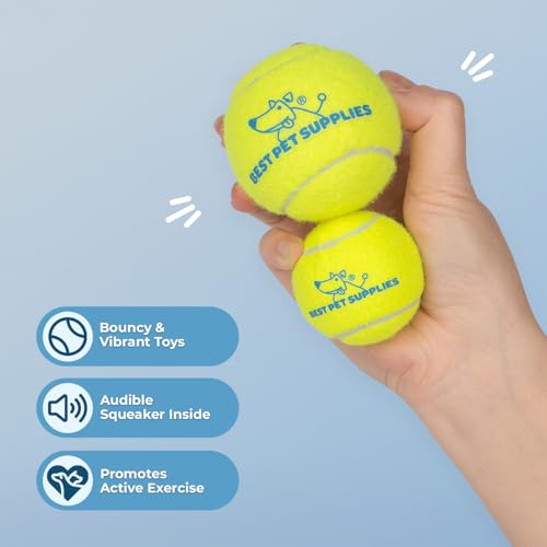 Best Pet Supplies Interactive Squeaky Dog Chew Toy, Ideal Dog Toys for Chewers, Small, Medium & Large Dogs, and Fetch Lovers - Tennis (Yellow), Medium (Pack of 4) - color: Tennis (Yellow), size: Medium