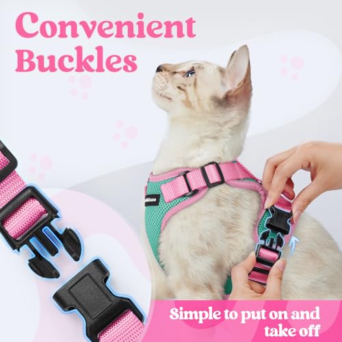 rabbitgoo Cat Harness and Leash Set, Escape Proof, Green & Pink | Adjustable Fit, Snap Buckles, Soft Breathable Vest, Secure Clip, Reflective Strips, for Small & Average Cats Walks, Xs - color: Green & Pink, size: Xs
