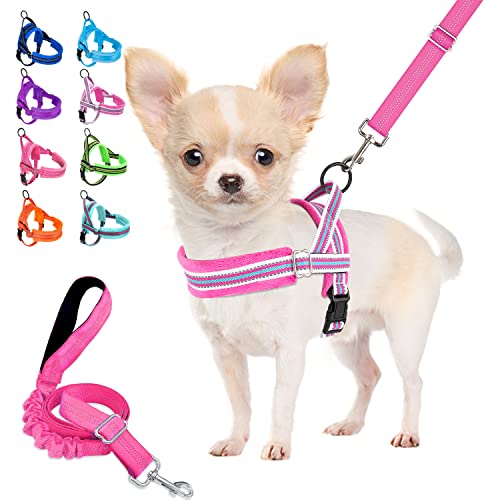 Lukovee Small Dog Harness and Leash Set, No Pull Soft Padded Vest | Both Neck & Chest Adjustable, Reflective, Puppy Harness with 4ft Lightweight Anti-Twist Dog Leash for Small Dogs (Fu,XXS) - color: Fuchsia - with Stripe, size: XXS ( Chest 11.5'' ~ 15'')