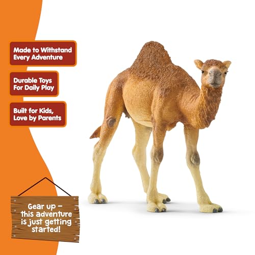 schleich Wild Life - 4" Dromedary Figurine with Realistic Hump - Durable Safari Camel Toy for Tactile Imaginative Play - Desert Animal Figure Educational Toy for Children - Kids Ages 3+ | 14832