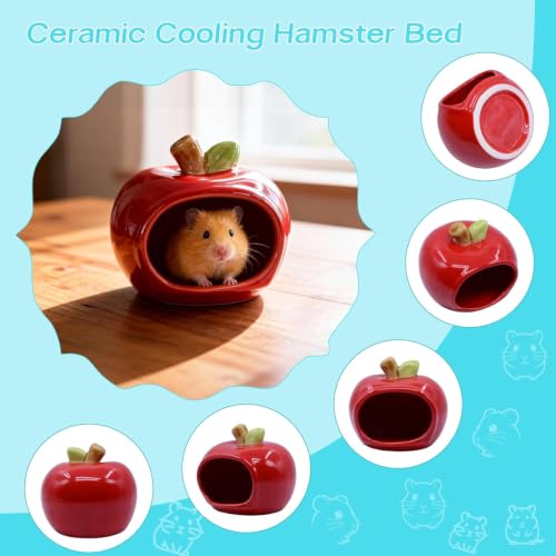 RUIAN Hamster Hideout - Ceramic Hamster Hide for Syrian and Dwarf Hamsters, Hamster House and Hamster Sand Bath Cave, Gerbil Hideout for Small Animal Cage Accessories (Red) - color: red