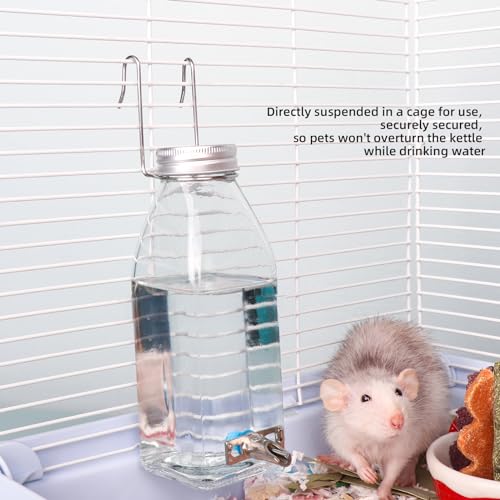 Hamster & Parrot Bird Automatic Drinking Device, Chinchilla & Bunny Rabbit No Drip Chew Proof Glass Water Bottle (Spout-Silver)