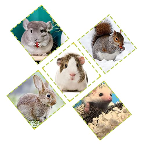 Hamster Small Animal Sand Bath Box Bathtub Critter's Bathroom with Scoop Accessories for Mice Hedgehog Lemming Gerbils or Other Small Pets - size: Medium