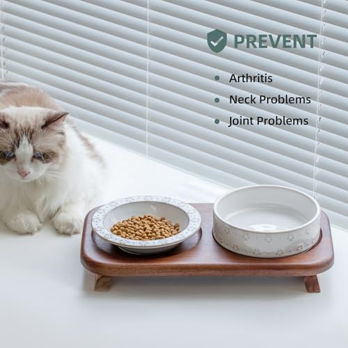 Havniva Ceramic Cat Food Bowl, 6.1" Raised Cat Bowls with Acacia Wood Stand | Elevated Cat Bowls, Whisker Friendly, Extra Wide Opening, Aesthetic Cat Dishes, Elegant Pet Bowls, Food-grade Ceramic, Kitten - color: 1Bowl+1Dish+Stand- Arctic White