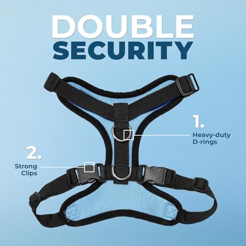Voyager Step-in Lock Dog Harness - Baby Blue/Black Trim, X-Small | 13 - 16" in Chest, Adjustable, Breathable Air Mesh, Lightweight for Daily Walks, Strong Clips, Heavy Duty D-Ring - color: Harness (Baby Blue/Black Trim), size: XS (Chest: 13 - 16")