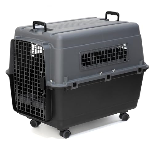 SportPet Airline Compliant LARGE 31.5" Travel Dog Kennel- Durable Plastic Airline Pet Carrier w/ Removable Wheels & Food Bowls, Collapsible Indoor/Outdoor Dog Kennel, Dogs up to 28"L & 20"H-Dark Gray - color: Dark Gray